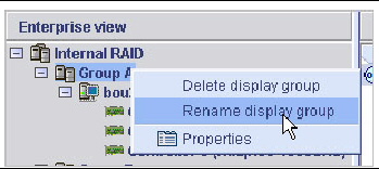 Screen shot of the Rename display group menu option.