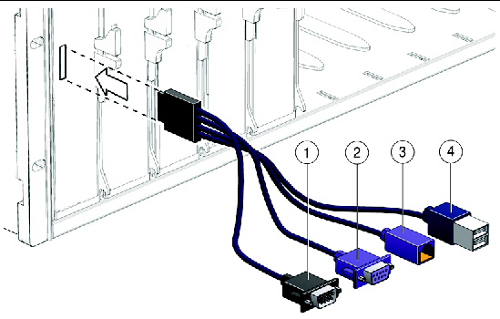 Graphic showing the multi-port dongle cable connections