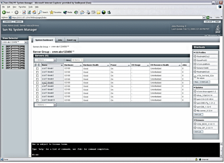 Screen sample: Viewing servers in a chassis server group