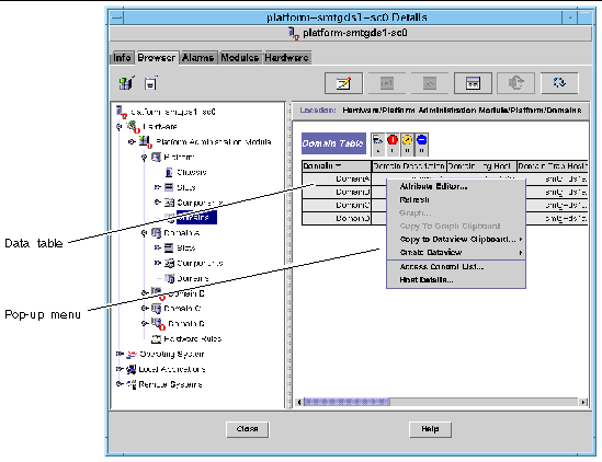 Screen capture of the Domain table in the Browser tab of the Details window. 