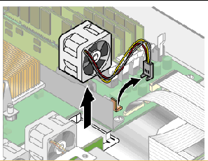 Graphic showing how to remove a cooling fan from the Sun Fire V20z server.