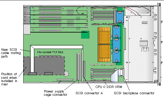 Graphic showing the location of the SCSI signal cable and connector (updated release of the Sun Fire V40z server).