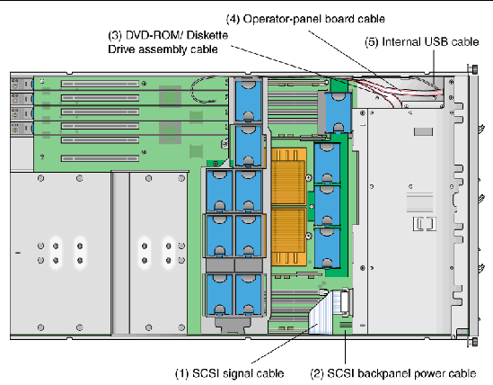Graphic showing the location of the system cables in the Sun Fire V40z server. 