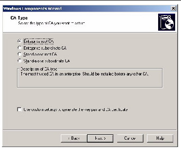 Screenshot of the CA Type Windows Components Wizard screen.