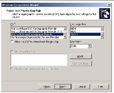 Screenshot of Public and Private Key Pair screen of the Windows Component Wizard.