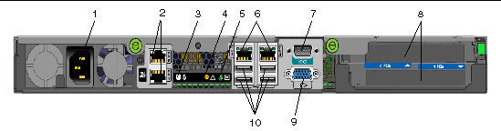 Figure showing the back panel and optional graphics cards for the server. 