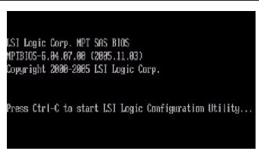 LSI Logic Corp. message screen
