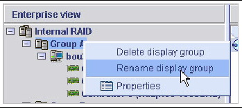 Screen shot of the Rename display group menu option.