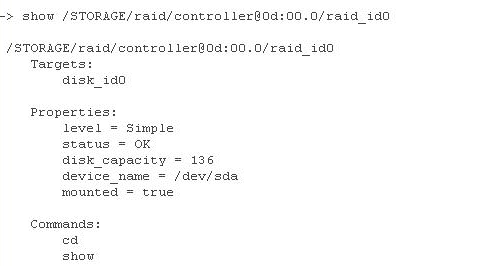 CLI RAID controller output 
