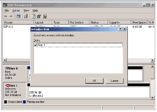 Graphic showing the Windows Disk Manager Initialize Disk screen