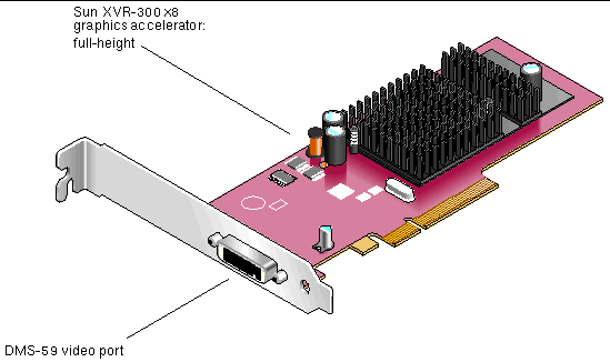 Figure showing the full-height type Sun XVR-300 x8 graphics accelerator.