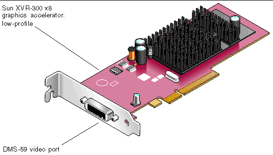 Figure showing the low-profile type Sun XVR-300 x8 graphics accelerator.