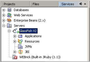Image shows the Application Server is running
as described in context