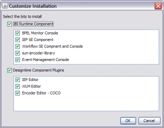 Figure shows the Customize Installation dialog
box.