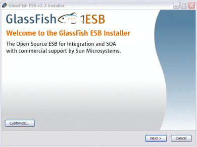 Figure shows the Welcome page of the installer.