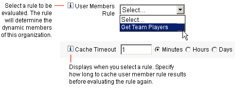 Figure showing the Create Organization: User Members
Rule Selections.