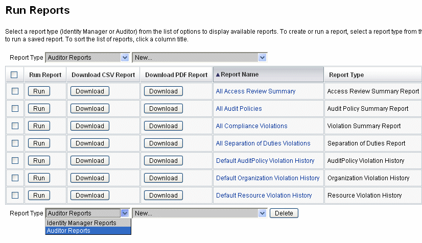Figure showing an example Run Reports page