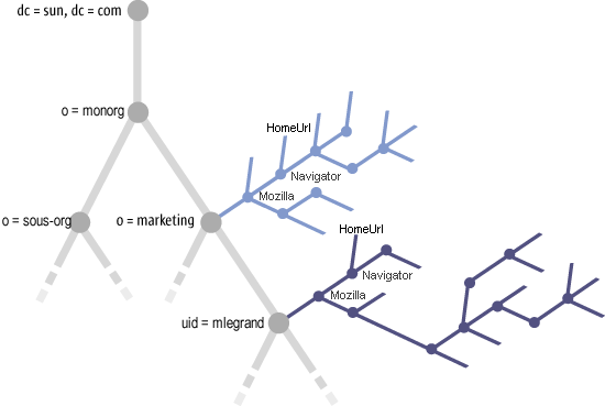 Structure de l'arborescence