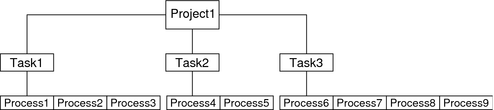 На схеме показан один проект с тремя подчиненными задачами и от двух до четырех процессов, подчиненных каждой задаче.