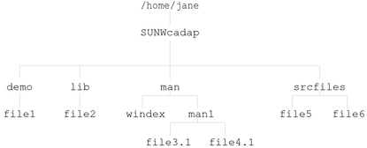 O diagrama mostra a estrutura do diretório de pacote SUNWcadap.