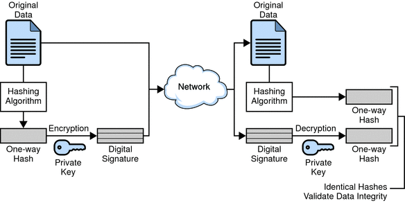 Figure shows digital signatures