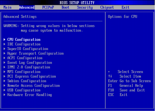 image:A screen capture showing the Advanced BIOS screen.