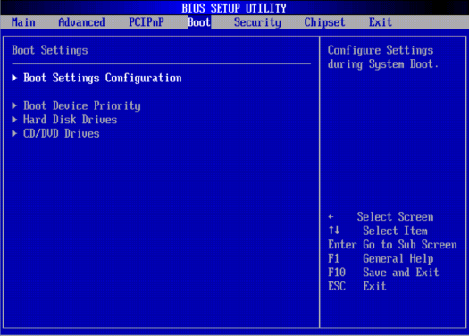 image:A screen capture showing the Boot BIOS screen.