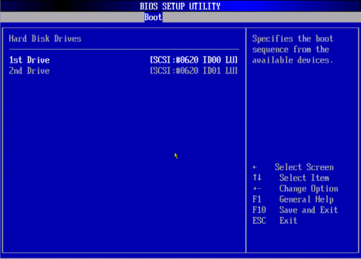 image:A screen capture showing the Boot/Hard Disk Drives BIOS screen.