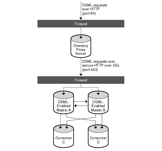 Sample DSML--enabled deployment showing DSMl requests sent over HTTP (port 80)  and HTTPS (port 443)