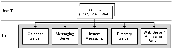 This diagram shows the single-tiered logical architecture for one host.