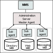 Figure showing the interaction between the Network Management Station (NMS) and SNMP agents.