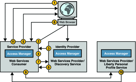 Illustration depicting the web services process
in Access Manager.