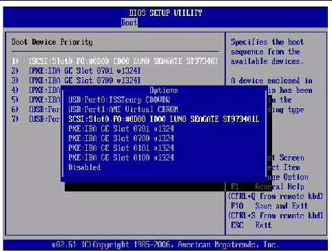 Graphic showing the selected bootable device.