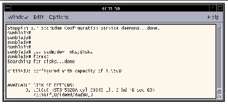 Screen capture of the Format command displaying the system disk and other files attached to the array.