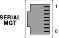 Figure showing serial management port.