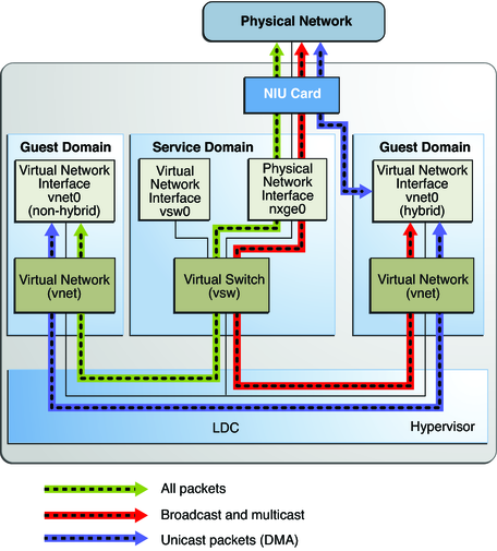 Diagram shows hybrid virtual networking as described in the text.