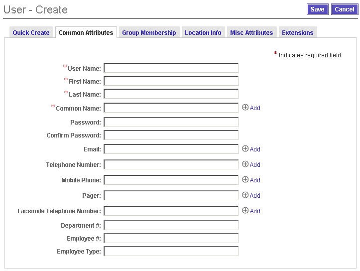Example Common Attributes page
