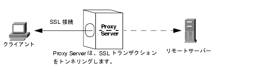 SSL �ȥ�ͥ�󥰤򼨤����ޡ�