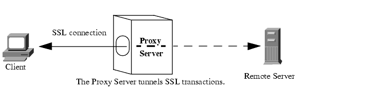 Figure showing SSL tunneling.