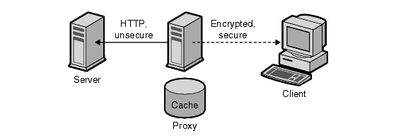Figure showing secure client connection to proxy