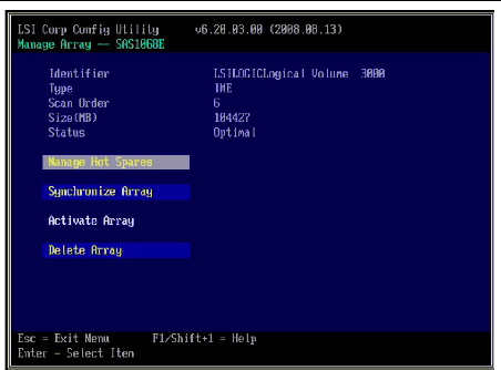 Figure showing the Manage Array screen.