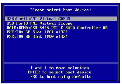 BIOS boot device menu