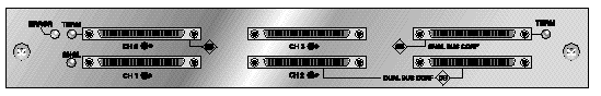 Figure showing SCSI I/O Module for a RAID Array.