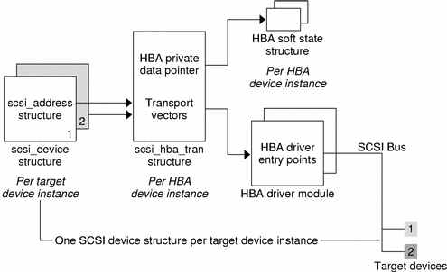 Diagram shows the relationships of structures involved in the HBA transport layer.
