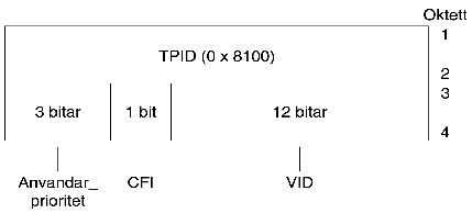 Figur ver formatet p huvudet till ett Ethernet-mrke.