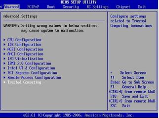 image:Figure showing BIOS Advanced Screen.