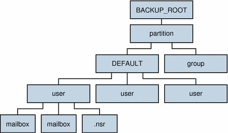 This graphic shows the backup directory hierarchy.