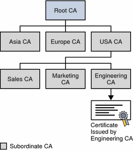 Figure shows a hierarchy of certificate authorities