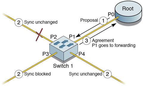 image:Figure showing proposal agreement sequence