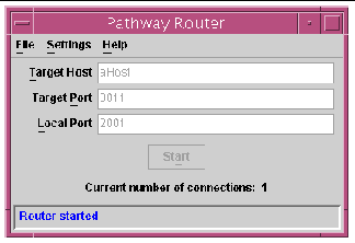 Screen shot showing the Pathway Router dialog box after a connection has been made.